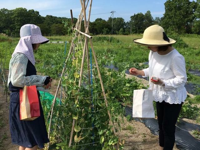 ���R�̌��_���@�Ƃ�����