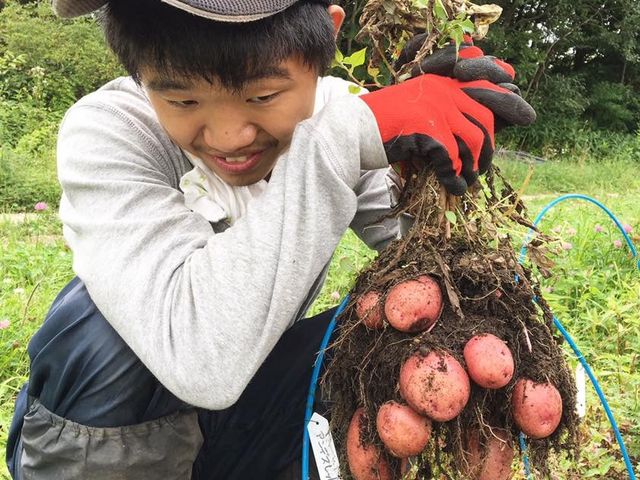 ���R�̌��_���@�Ƃ�����