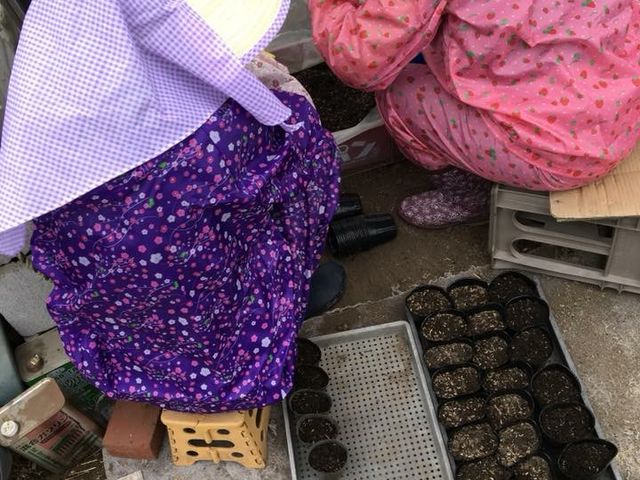 ���R�̌��_���@�Ƃ�����