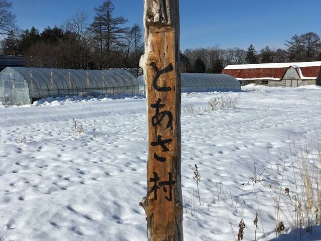 ���R�̌��_���@�Ƃ�����