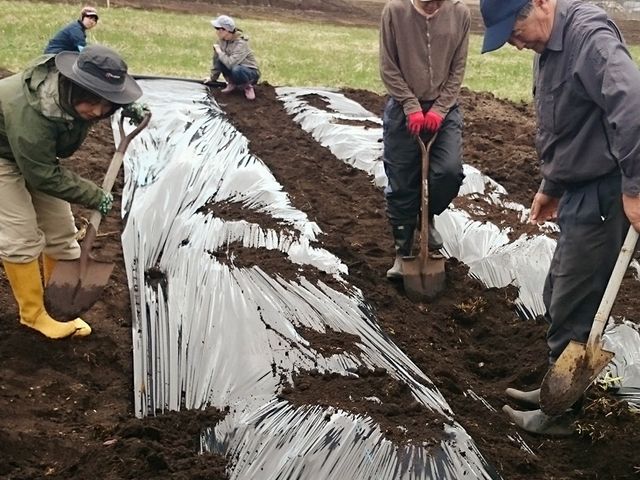 ���R�̌��_���@�Ƃ�����