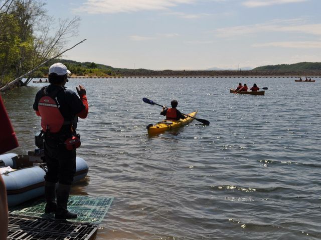 ���R�̌��_���@�Ƃ�����