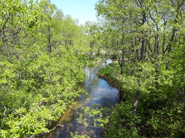 ���R�̌��_���@�Ƃ�����