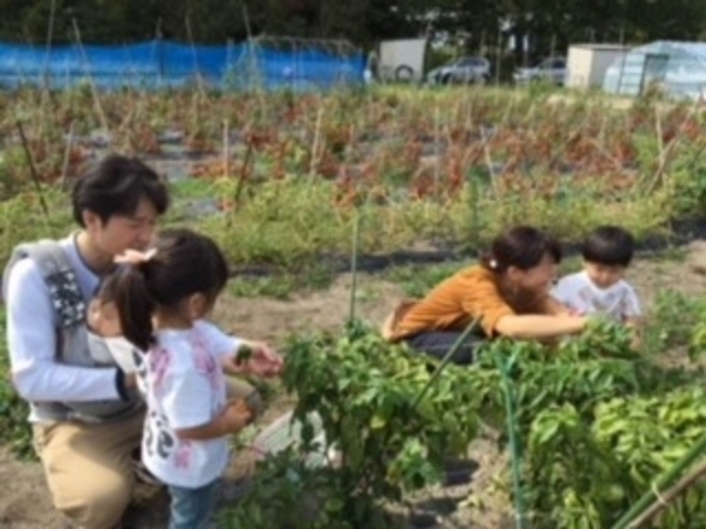 ���R�̌��_���@�Ƃ�����