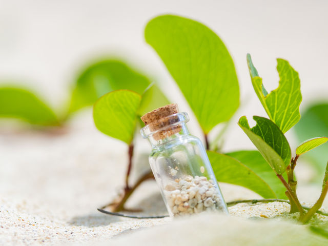 {łA̍܂B_feelokinawa