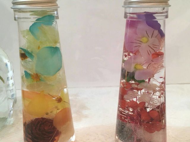 ���F�B�Ńn�[�o���E��_�l�C�����t�����[�T�����`Ri�Ehiro�`