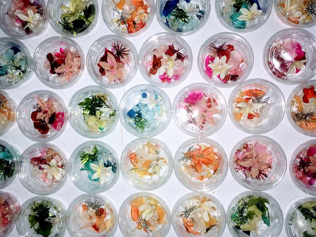 ��R�̃n�[�o���E���L�b�g�p�ӂ��Ă��܂�!_�l�C�����t�����[�T�����`Ri�Ehiro�`