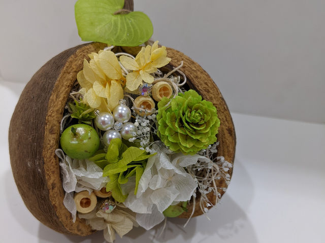 �l�C�����t�����[�T�����`Ri�Ehiro�`