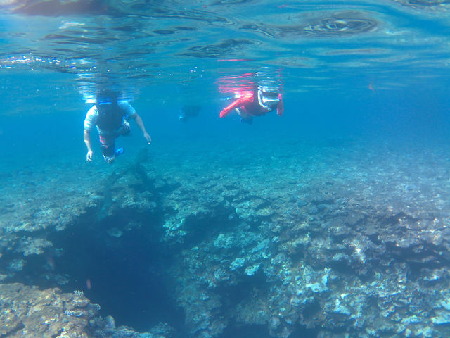 �Ί_�����W���[�K�C�h�C�S