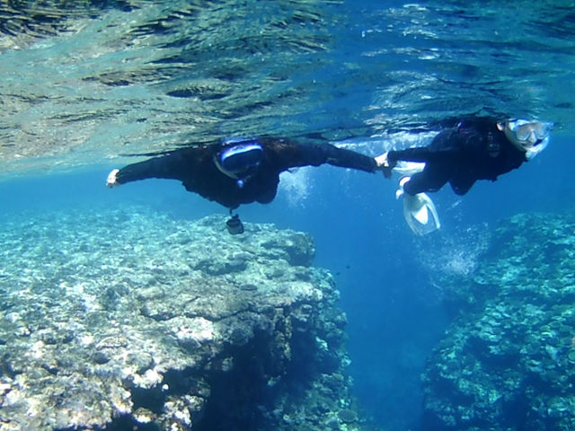 �Ί_�����W���[�K�C�h�C�S