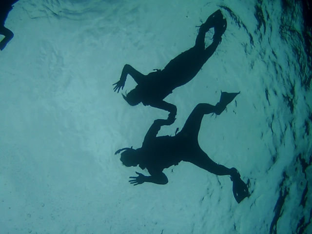 �Ί_�����W���[�K�C�h�C�S