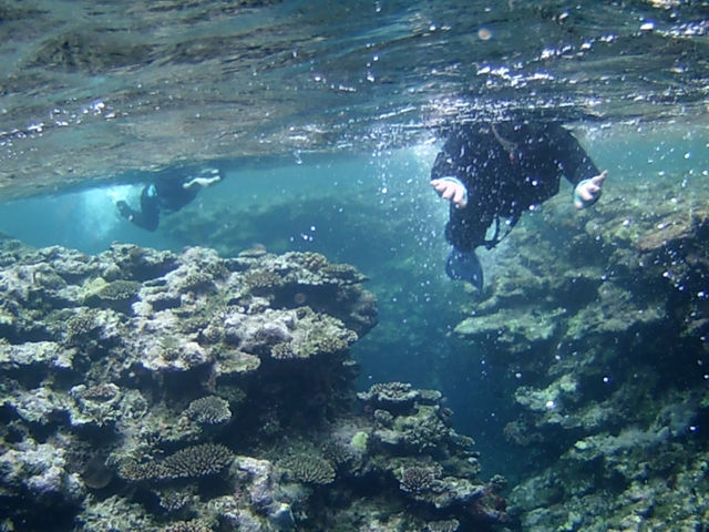 �Ί_�����W���[�K�C�h�C�S