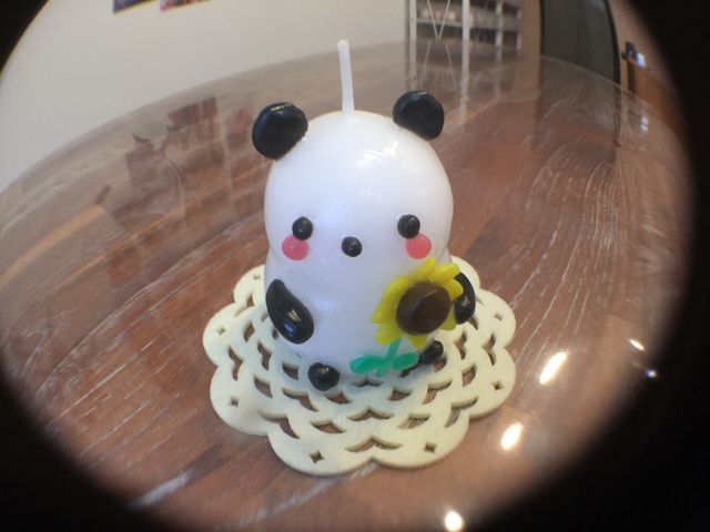 �L�����h���@�t�F�A���[