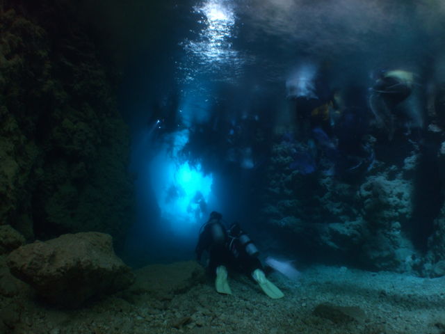 ���ł͐^���ł��Ȃ��l�X�ȃA���O������v���o�̐����B�e���v���܂�!!_����_�C�r���O�߂񂻁[��