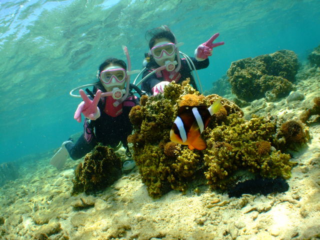 ���킢���N�}�m�~�����̃`�����X��!!_����_�C�r���O�߂񂻁[��