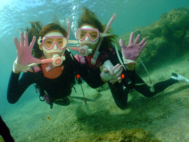 ���킢���s���N�̊�ރR�[�f�Ŏʐ^���N�₩��!!_����_�C�r���O�߂񂻁[��