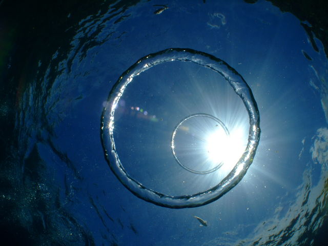 �o�u�������O�ɂ�������Ă�������!!_����_�C�r���O�߂񂻁[��