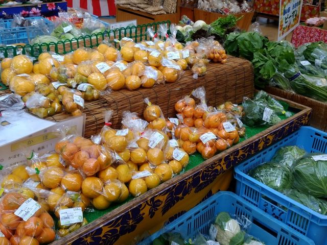 �n���̖��_���̉w�u�����ނ��v�ԂՂ炷��