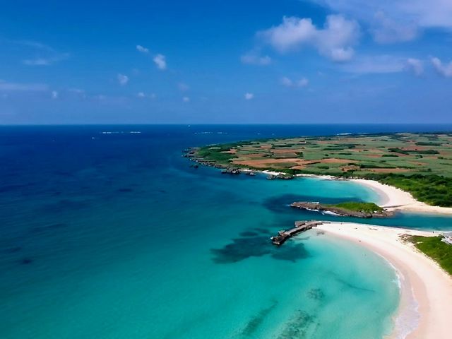 �ɗǕ����̓n���̕l���ł��B_�u���[�I�[�V�����N���u