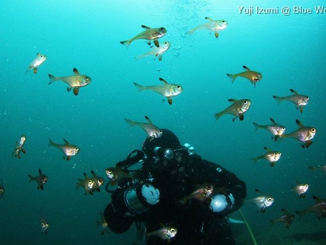 �u���[���[���h