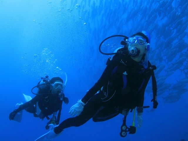 �u���[���[���h