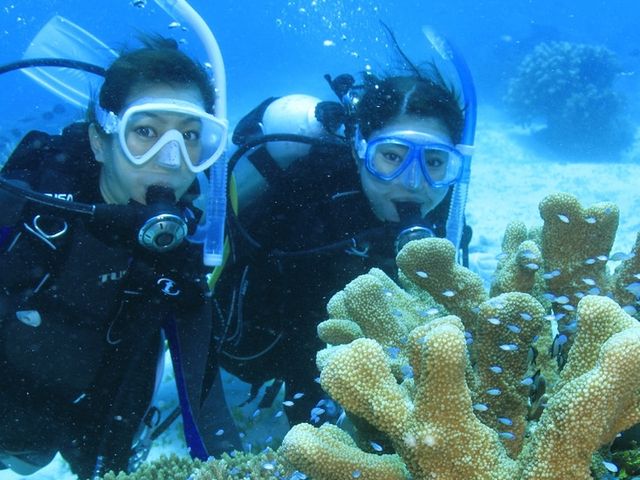 �u���[���[���h