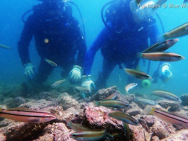 �u���[���[���h