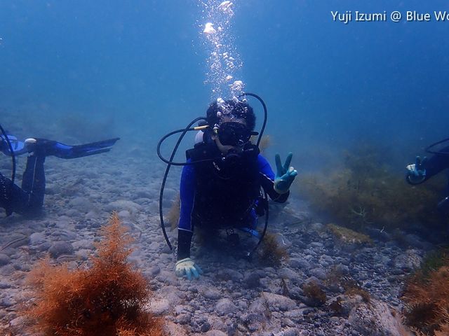 �u���[���[���h