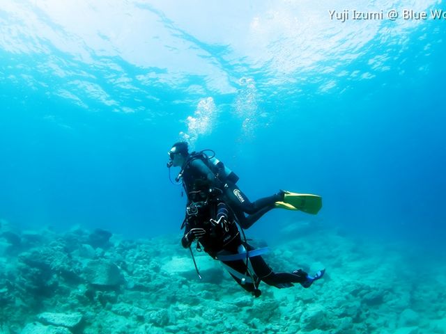 �u���[���[���h