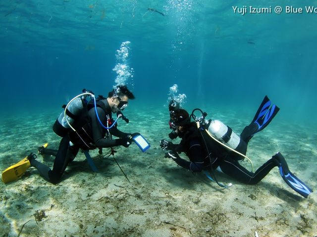 �u���[���[���h