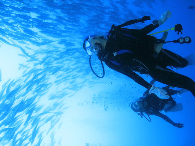 �u���[���[���h