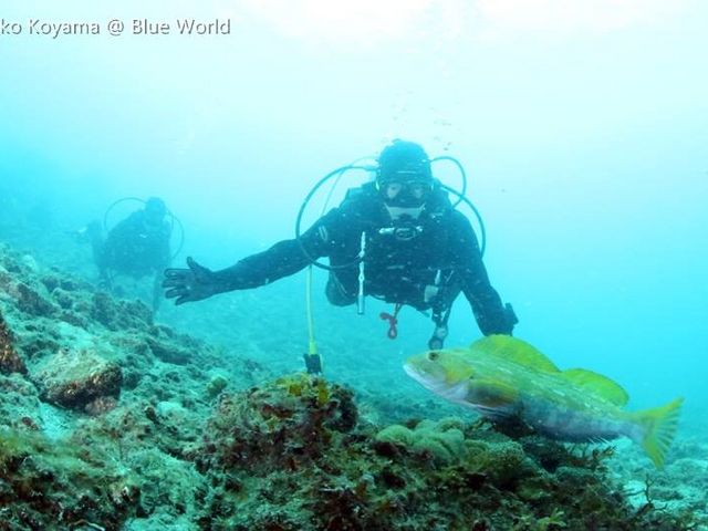 �u���[���[���h