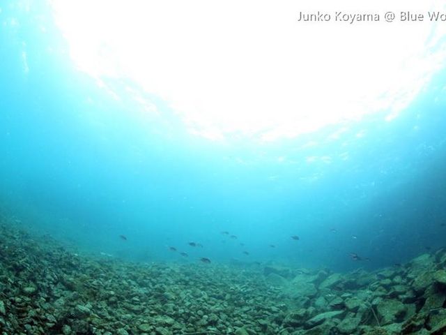 �u���[���[���h