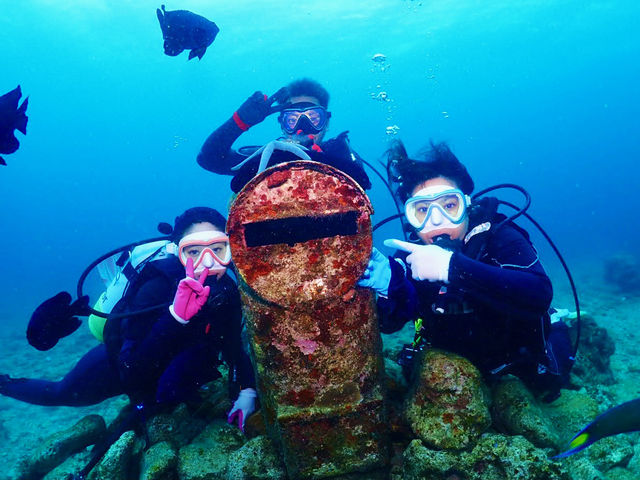 ����_�C�r���O�@����C�O�[�j�[�Y