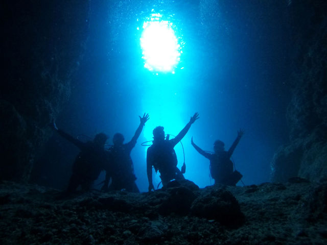 ����_�C�r���O�@����C�O�[�j�[�Y