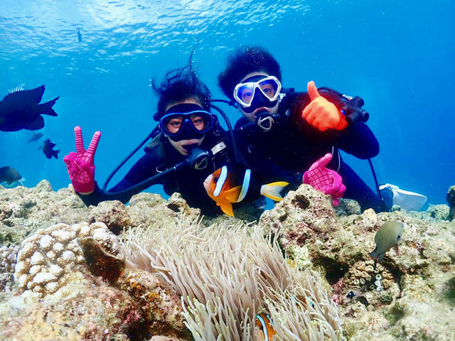 ����_�C�r���O�@����C�O�[�j�[�Y