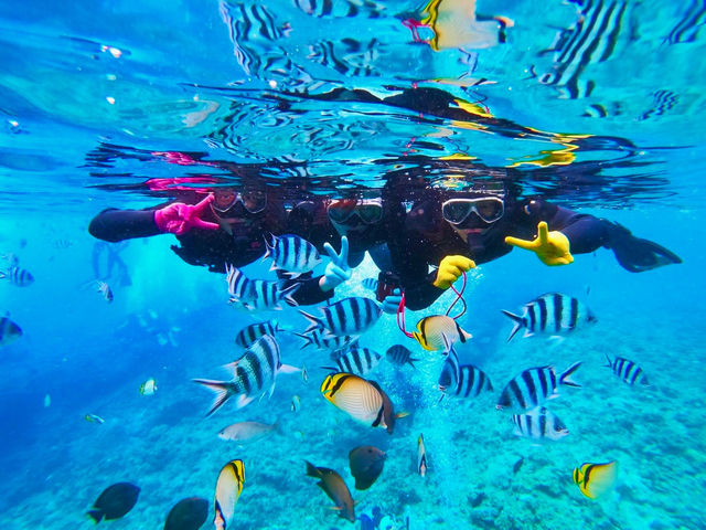 ����_�C�r���O�@����C�O�[�j�[�Y