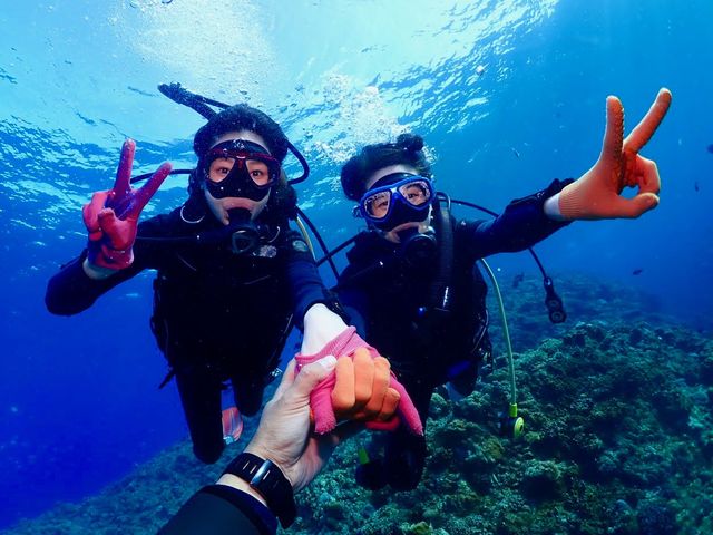 ����_�C�r���O�@����C�O�[�j�[�Y