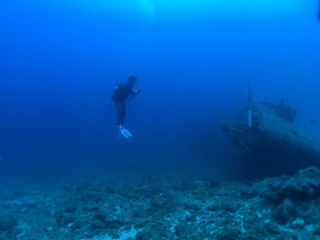 �N�[�����}�����_�C�r���O�Z���^�[