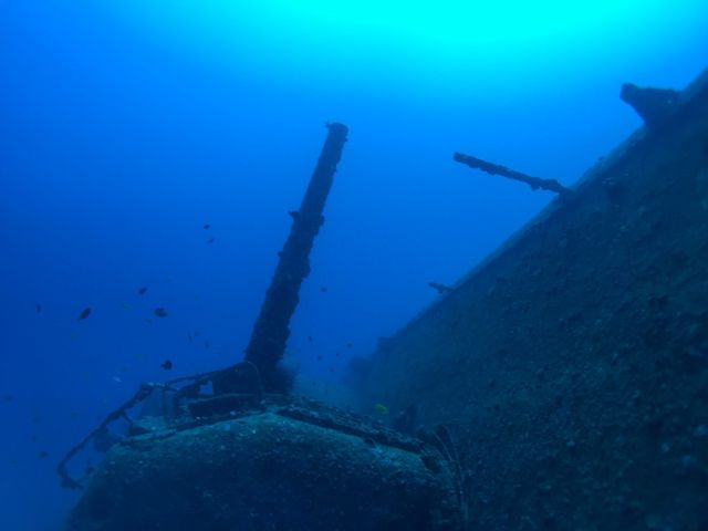 �N�[�����}�����_�C�r���O�Z���^�[