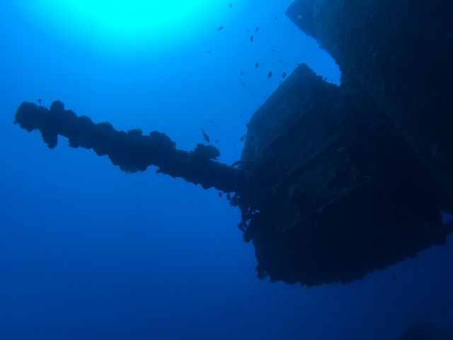 �N�[�����}�����_�C�r���O�Z���^�[