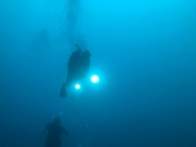 �N�[�����}�����_�C�r���O�Z���^�[