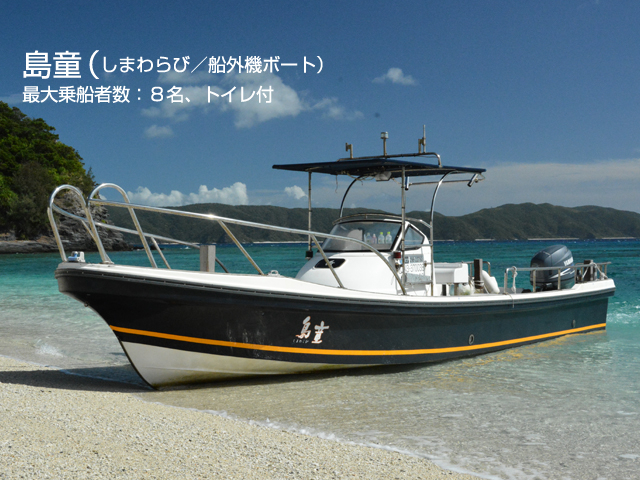 �A�C�����h�p���[