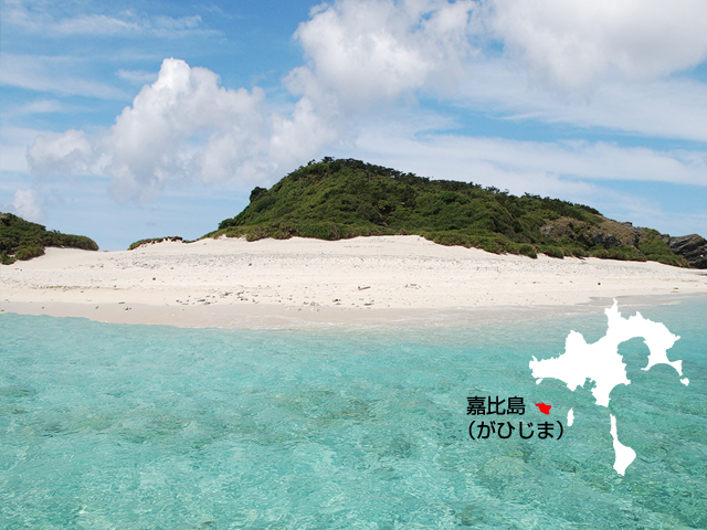 �A�C�����h�p���[