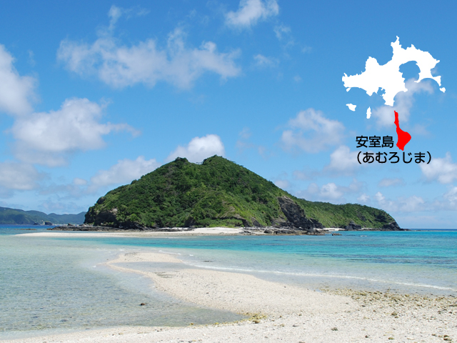 �A�C�����h�p���[