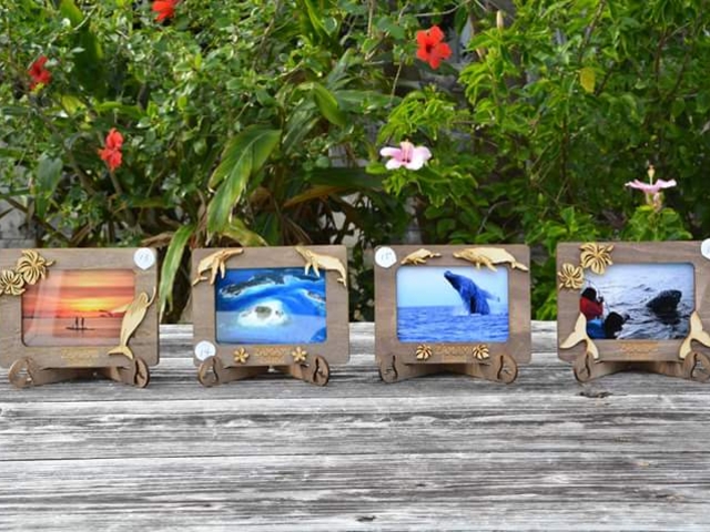 �A�C�����h�p���[