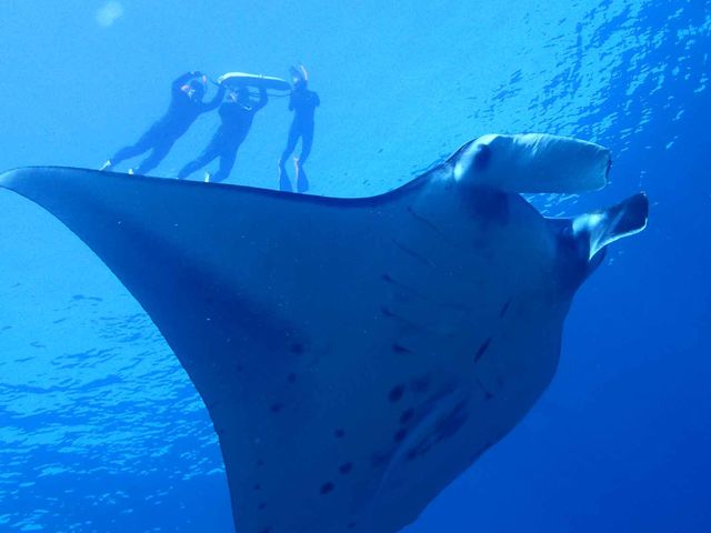 �}���^�����ɍs�����I_�Ί_���_�C�r���O�V���b�v�@ABCdive