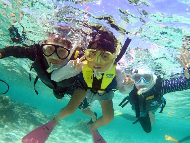 ���q�l���V���m�[�P�����O�I_�Ί_���_�C�r���O�V���b�v�@ABCdive