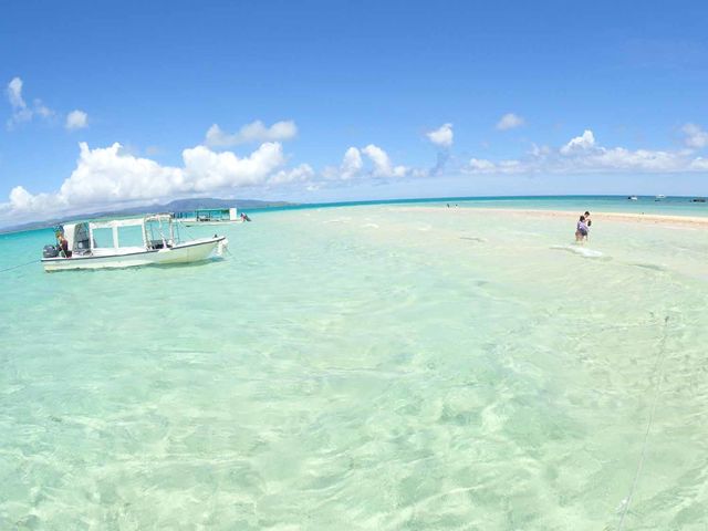 ���ꂼ�I�Ί_�̊C�I�I_�Ί_���_�C�r���O�V���b�v�@ABCdive