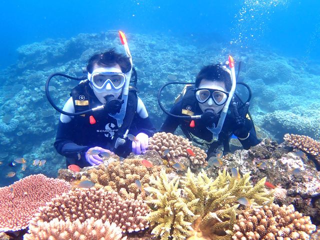 �T���S�̊C�Ń_�C�r���O�I_�Ί_���_�C�r���O�V���b�v�@ABCdive